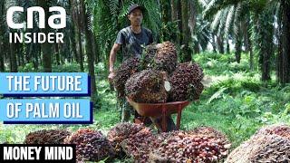 How To Brew A Sustainable Alternative To Palm Oil  Money Mind  Future Of Food
