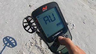 Beach TREASURE Hunting  Minelab X-TERRA PRO Metal Detector