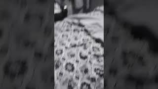 master bed#punjab #shortvideo#mujra #mujer #sobiakhanviralvideo #rashidkamal #viralstatusvideo#viral