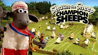 Full Episodes Compilation  Championsheeps  Shaun the Sheep #sport #ShaunTheSheep