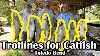 Trotlines for Catfish - Toledo Bend Fishing Trip - Trotline Fishing