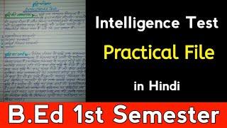 Intelligence Test Practical File  in Hindi  B.Ed 1st Semester  Learn Everything