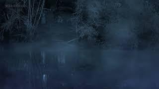  Night Forest Sounds in a Foggy Rainy Swamp  Relaxing Nature Marshland with Rain & Frogs Croaking