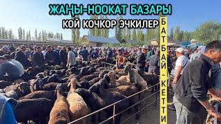 КОЙ КОЧКОР ЭЧКИ БАЗАРЫ  ЖАҢЫ-НООКАТ  12_06_2024