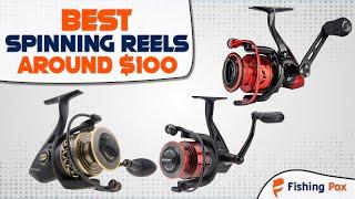 8 Best Spinning Reels Around $100