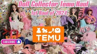 Doll Collector  TEMU Doll Haul Defa Lucy & Minis #doll #new #dolls #temu #temuhaul #dollfashion