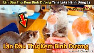 Hảo Hán Review lần đầu thử Kem Bình Dương Yang Lake hành động lạ  Review Giải Trí Đời Sống