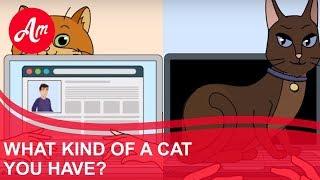Cartoon - What Kind of a Cat You Have  AmoMama