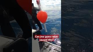 Scary scenario that almost drowned a Scuba Instructor  #scubadiving #drowning