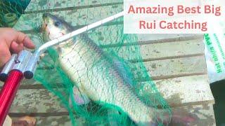 Amazing Best Big Rui Catching Video in Monstar Fish by Hook Fishing｜Fishing Winner