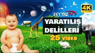 YARATILIŞ DELİLLERi FULL 25 MUCİZE 4K