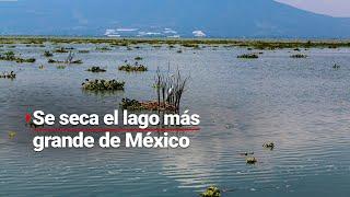 #Jalisco  El Lago de #Chapala atraviesa su peor CRISIS en 20 años la SEQUÍA lo ha afectado