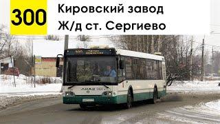 Автобус 300 Кировский завод - жд ст. Сергиево