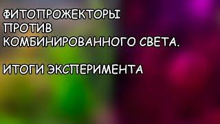 ИТОГИ ЭКСПЕРИМЕНТА. ФИТО СВЕТ ПРОТИВ КОМБИНИРОВАННОГО СВЕТА