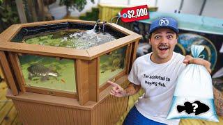 Buying FISH for My NEW 200G POND full build