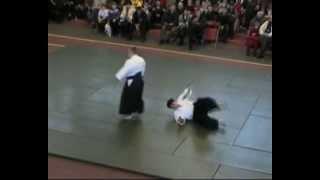 Aikido Demonstartion. Показательные выступления Самарской Всестилевой Федерации Айкидо