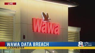 Wawa announces massive data breach ‘potentially all’ locations affected CEO says