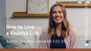 How to Live a Fruitful Life  Galatians 522–23  Our Daily Bread Video Devotional