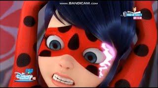 LADYBUG’S IDENTITY REVEALED?  MIRACULOUS LADYBUG