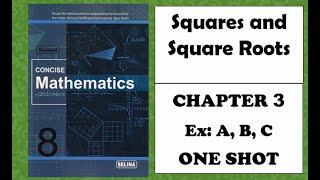 ICSE Class 8  Square and Square Roots  Chapter 3  Selina  Concise Mathematics 