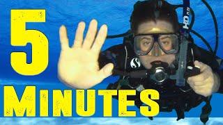 PADI Open Water How to Scuba Dive in 5 Minutes