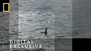 Scotlands Sea Monster   Drain the Oceans Secrets of Loch Ness   National Geographic UK
