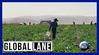 American Cowboys in Israel  The Global Lane - November 23 2023