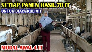 Wanita Sholehah Sukses Berternak Setiap Panen Hasil 70 Jt Lebih