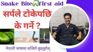 Understand All About Snake Bite  Management Easily In Nepali Language   Snake Bite in Nepali 