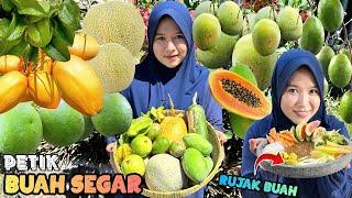 Petik buah-buahan segar  Rujak buah gula aren