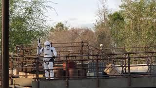 Stormtrooper on Patrol