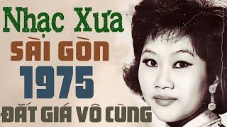 Nhạc Xưa Sài Gòn 1975 Hay Nhất Mọi Thời Đại - Nhạc Vàng Xưa Nhiều Danh Ca Bất Hủ Đắt Giá Vô Cùng