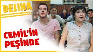 Deliha - Heryerde Cemilin Peşinde