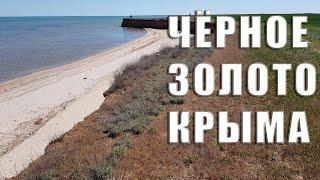 Лечебная грязь Крыма не уступает Мёртвому морю. Озеро Сиваш. Джанкойский район.