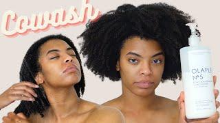 How I Cowash My Natural Curly Hair  Olaplex No.5