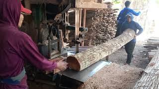 POTONG KAYU PINUS PAPAN LANJUT MAMONI PANJANGi