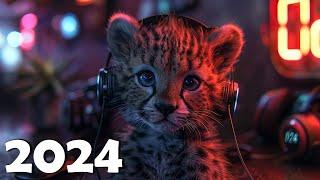 Best Music Mix 2024 Hits EDM Remixes of Popular Songs  EDM Gaming Music Mix ​2024