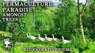 Beautiful 8 Acre Permaculture Farm Combines Trees Livestock and a Productive CSA Market Garden