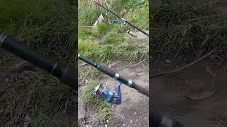 І більше нічого не треба #fishing