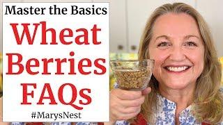 Wheat Berries FAQs - Frequently Asked Questions About Wheat Berries