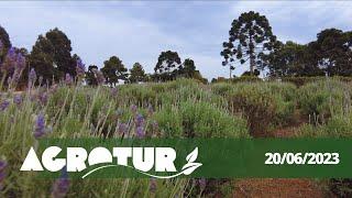 AgroTur Recanto das Lavandas - 200623