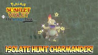 How To EASILY Shiny Hunt Charmander In Pokemon Scarlet and Violet the Indigo Disk