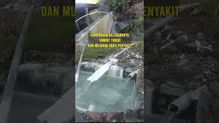 Sumber air panas di jalur pendakian gunung Bismo yang terkenal mujarab.