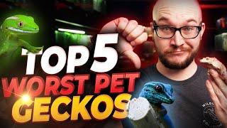 The 5 WORST Pet Geckos and 5 BETTER Options Youll Love  Bet Youve Never Heard Of Number 4