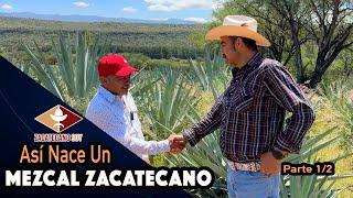 AGAVES OAXAQUEÑOS NOS DARÁN Mezcal Zacatecano