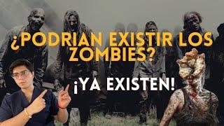 ¿PODRIAN EXISTIR LOS ZOMBIES EN LA VIDA REAL?