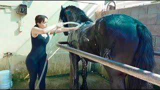 Bañando a un caballo famoso y visite el campestre más grande  de Culiacán mi último video