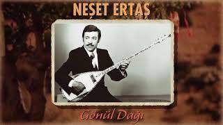 Neşet Ertaş - Gönül Dağı