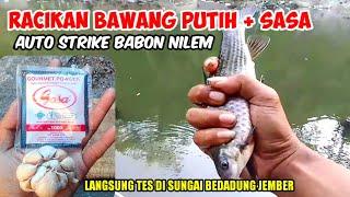 umpan ikan nilem sungai paling ampuh  racikan umpan ikan nilem sungai versi @rendymancing