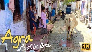 4K  Agra old city full walk tour until Taj Mahal . Cows rituals traffic food markets India